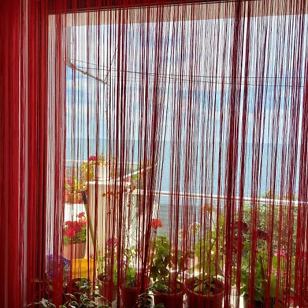 בית הארחה Neli