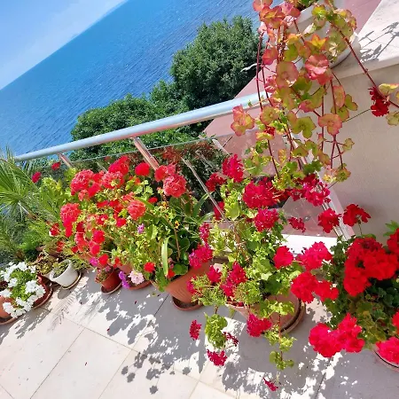 Neli Nesebar